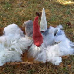 Turkispaloja, tontun partaa