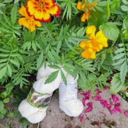 Veeti, 3-säikeinen yleislanka