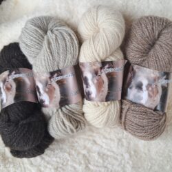 Assi muhkea neulelanka