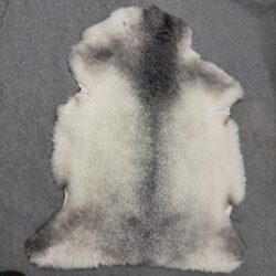 Lampaantaljat harmaat