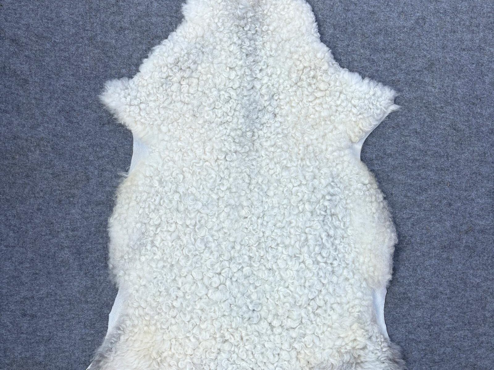lampaantalja